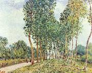 Alfred Sisley Ufer der Loing bei Moret oil